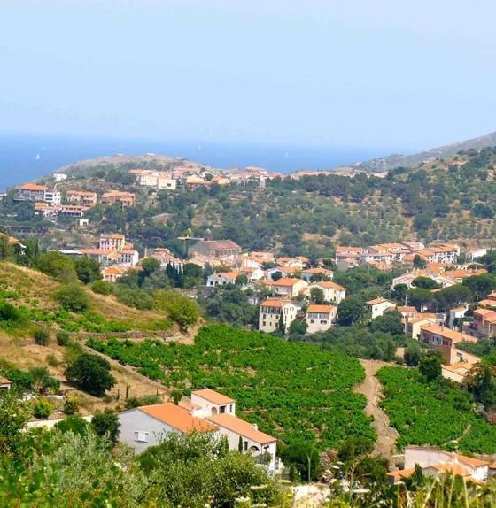 La Cigaliere En Cote Vermeille Latour-Bas-Elne Exteriér fotografie